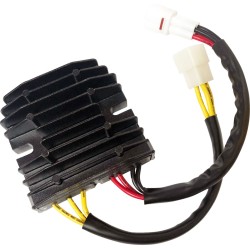 Rec/reg HT SHOT LITH comp RICK'S MOTORSPORT ELECTRICS 14-203H