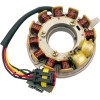 Γνήσιος στυλ SKI DOO στάτορας RICK'S MOTORSPORT ELECTRICS 24-113