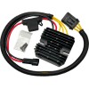 Ρεκτ-ρεγκ HS σειρά POLARIS SPORTSMAN 850 '09-'10 RICK'S MOTORSPORT ELECTRICS 10-579H