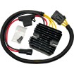 Ρεκτ-ρεγκ HS σειρά POLARIS SPORTSMAN 850 '09-'10 RICK'S MOTORSPORT ELECTRICS 10-579H Ρεκτ-ρεγκ HS σειρά POLARIS SPORTSMAN 850 '09-'10 RICK'S MOTORSPORT ELECTRICS 10-579H thumb
