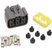 Σετ συνδετήρων για δέσμες καλωδίων RICK'S MOTORSPORT ELECTRICS 11-114 Σετ συνδετήρων για δέσμες καλωδίων RICK'S MOTORSPORT ELECTRICS 11-114 thumb