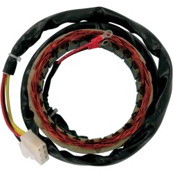Στάτορας OEM style RICK'S MOTORSPORT ELECTRICS 21-101