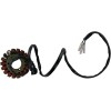 Στάτορας OEM στυλ RICK'S MOTORSPORT ELECTRICS 21-302