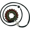 Στάτορας OEM στυλ RICK'S MOTORSPORT ELECTRICS 21-303