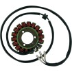 Στάτορας OEM στυλ RICK'S MOTORSPORT ELECTRICS 21-303 thumb