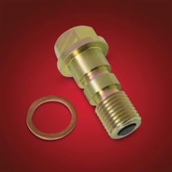 Μαγνητική τάπα αποστράγγισης M14-1.5 MAGN DRAIN PLG SHOW CHROME 5-303 Μαγνητική τάπα αποστράγγισης M14-1.5 MAGN DRAIN PLG SHOW CHROME 5-303