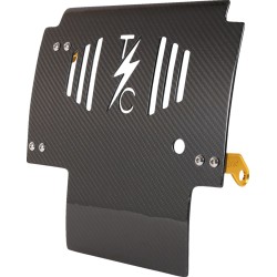 Πλάκα προστασίας από χτυπήματα carbon gloss w/gold 2024 FLHX FLTRX THRASHIN TSC-3034-5 Πλάκα προστασίας από χτυπήματα carbon gloss w/gold 2024 FLHX FLTRX THRASHIN TSC-3034-5