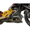 Πλάκα προστασίας από χτυπήματα carbon gloss w/gold 2024 FLHX FLTRX THRASHIN TSC-3034-5 thumb