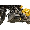 Πλάκα προστασίας από χτυπήματα carbon gloss w/gold 2024 FLHX FLTRX THRASHIN TSC-3034-5 thumb