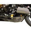 Πλάκα προστασίας από χτυπήματα carbon gloss w/gold 2024 FLHX FLTRX THRASHIN TSC-3034-5 thumb