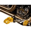 Μαρκούτσια AGGRESSOR GOLD THRASHIN TSC-2022-5-D Μαρκούτσια AGGRESSOR GOLD THRASHIN TSC-2022-5-D thumb