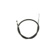Καλώδιο Συμπλέκτη YAMAHA F/L ΑΛΛΑ Y01-3-189-BK Καλώδιο Συμπλέκτη YAMAHA F/L ΑΛΛΑ Y01-3-189-BK thumb