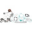 Σετ αποκατάστασης κάτω μέρους κινητήρα HONDA VERTEX WR101-024 Σετ αποκατάστασης κάτω μέρους κινητήρα HONDA VERTEX WR101-024 thumb