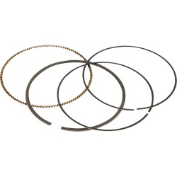 Σετ εφεδρικών ελατηρίων εμβόλου VERTEX 590295000002 Σετ εφεδρικών ελατηρίων εμβόλου VERTEX 590295000002