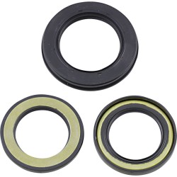 Στεγανοποιητικό KAWASAKI VERTEX 622404