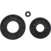 Τσιμούχα ARCTIC CAT VERTEX 55182