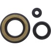 Στεγανοποιητικό YAMAHA VERTEX 55198 Στεγανοποιητικό YAMAHA VERTEX 55198 thumb