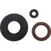 Στεγανοποιητικό POLARIS VERTEX 55225