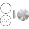 Σετ εμβόλων SEA 720 .5MM WSM PERFORMACE PARTS 010-817-05K