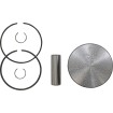 Σετ εμβόλου SEA 800 STD. WSM PERFORMACE PARTS 010-818K thumb