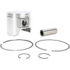 Σετ εμβόλων, POL STD WSM PERFORMACE PARTS 010-835K