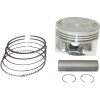 Σετ εμβόλων .50MM YAM 350 WSM PERFORMACE PARTS 50-540-05K