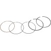 Σετ ελατηρίων HON 300 WSM PERFORMACE PARTS 51-223