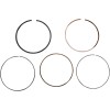 Σετ Δαχτυλίδια .50MM POL 500 WSM PERFORMACE PARTS 51-311-05
