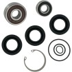 Σετ επισκευής αντλίας νερού KAWASAKI WSM PERFORMACE PARTS 003-614 thumb