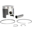 Σετ εμβόλων POLARIS STD WSM PERFORMACE PARTS 50-300PK Σετ εμβόλων POLARIS STD WSM PERFORMACE PARTS 50-300PK thumb