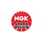 AGV Logo