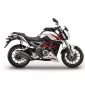 SHAD βάσεις πλαϊνών βαλιτσών 3P System BENELLI TNT 25 16-23 B0BN27IF thumb