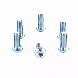 Σετ βίδες δισκόπλακας φρένου TRW MSW101BO