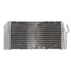 Αριστερό ψυγείο νερού RAD-012L Honda CRF 450R 2002-2004 Αριστερό ψυγείο νερού RAD-012L Honda CRF 450R 2002-2004 thumb