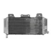 Αριστερό ψυγείο νερού RAD-001L Yamaha YZ 450F 2006 thumb