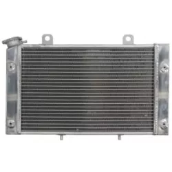 Ψυγείο νερού μοτοσυκλέτας RAD-134 YAMAHA YXR (Rhino) - 2013 Ψυγείο νερού μοτοσυκλέτας RAD-134 YAMAHA YXR (Rhino) - 2013
