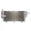 Αριστερό ψυγείο νερού RAD-058L Yamaha YZ 250F 2010-2013 Αριστερό ψυγείο νερού RAD-058L Yamaha YZ 250F 2010-2013 thumb