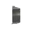 Ψυγείο νερού μοτοσυκλέτας RAD-089 KAWASAKI KLR 650 1997-2007 Ψυγείο νερού μοτοσυκλέτας RAD-089 KAWASAKI KLR 650 1997-2007 thumb