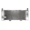 Αριστερό ψυγείο νερού RAD-075L Honda CRF 250R 2010-2013 Αριστερό ψυγείο νερού RAD-075L Honda CRF 250R 2010-2013 thumb