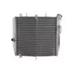 Ψυγείο νερού μοτοσυκλέτας RAD-603 KAWASAKI ZX-10R 1000 ABS 2012-2017 / ZX-10R 1000 -11-17 Ψυγείο νερού μοτοσυκλέτας RAD-603 KAWASAKI ZX-10R 1000 ABS 2012-2017 / ZX-10R 1000 -11-17 thumb