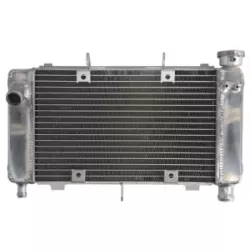 Ψυγείο νερού μοτοσυκλέτας RAD-561 YAMAHA FZ6 600N/600S 04-06 / 600NA (ABS) 05-06 / 600S (Fazer ABS) 2006 Ψυγείο νερού μοτοσυκλέτας RAD-561 YAMAHA FZ6 600N/600S 04-06 / 600NA (ABS) 05-06 / 600S (Fazer ABS) 2006