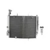 Ψυγείο νερού μοτοσυκλέτας RAD-613 Triumph Daytona 675 2006-2012 Ψυγείο νερού μοτοσυκλέτας RAD-613 Triumph Daytona 675 2006-2012