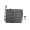 Ψυγείο νερού μοτοσυκλέτας RAD-613 Triumph Daytona 675 2006-2012 Ψυγείο νερού μοτοσυκλέτας RAD-613 Triumph Daytona 675 2006-2012 thumb