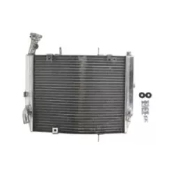 Ψυγείο νερού μοτοσυκλέτας RAD-613 Triumph Daytona 675 2006-2012 Ψυγείο νερού μοτοσυκλέτας RAD-613 Triumph Daytona 675 2006-2012