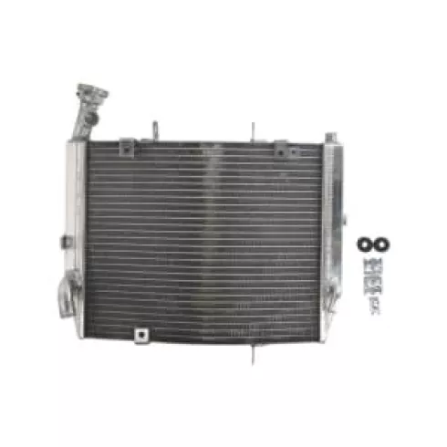 Ψυγείο νερού μοτοσυκλέτας RAD-613 Triumph Daytona 675 2006-2012 Ψυγείο νερού μοτοσυκλέτας RAD-613 Triumph Daytona 675 2006-2012