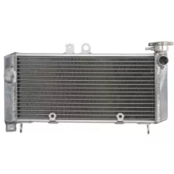 Ψυγείο νερού μοτοσυκλέτας RAD-650 HONDA CBF 600S 2004-2007 / 600SA (ABS) 2005-2007 Ψυγείο νερού μοτοσυκλέτας RAD-650 HONDA CBF 600S 2004-2007 / 600SA (ABS) 2005-2007