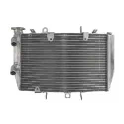 Ψυγείο νερού μοτοσυκλέτας RAD-616 Triumph Speed Triple 1050 2011-2015 Ψυγείο νερού μοτοσυκλέτας RAD-616 Triumph Speed Triple 1050 2011-2015