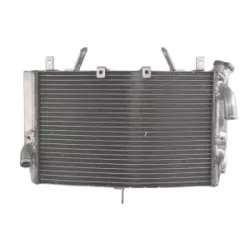 Ψυγείο νερού μοτοσυκλέτας RAD-569 YAMAHA YZF-R1 1000 2007-2008 Ψυγείο νερού μοτοσυκλέτας RAD-569 YAMAHA YZF-R1 1000 2007-2008