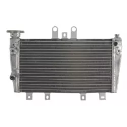 Ψυγείο νερού μοτοσυκλέτας RAD-615 Triumph Speed Triple 1050 2005-2010 Ψυγείο νερού μοτοσυκλέτας RAD-615 Triumph Speed Triple 1050 2005-2010