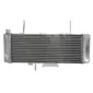 Ψυγείο νερού μοτοσυκλέτας RAD-539 SUZUKI SV 650S 2003-2004 thumb